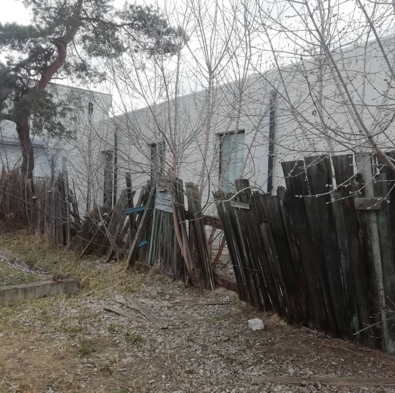 дом горшенева на озерковском проспекте, участок, дом в, дача, улица