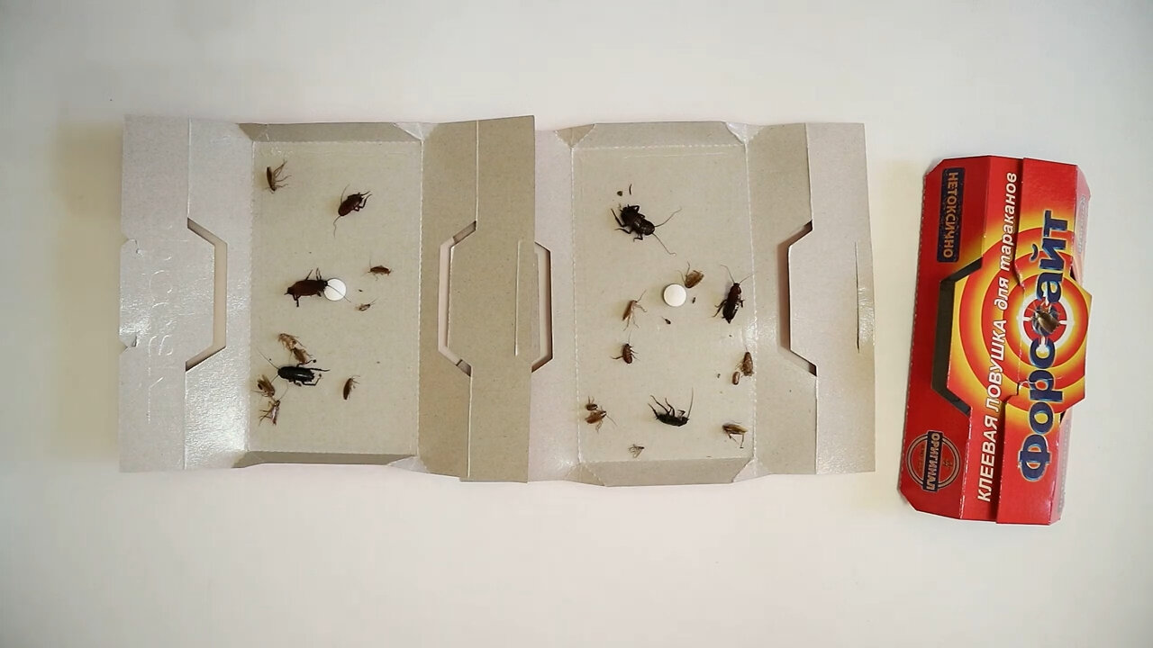 средство от тараканов, ловушка для тараканов, липкие ловушки для тараканов, эффективные ловушки для тараканов, ловушка от тараканов