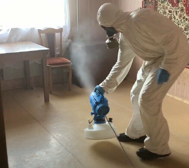 дезинфекция, дезинсекция, дезинфекция дезинсекция дератизация, дезинфекция от клопов, дезинфекция клопов