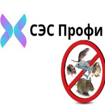 СЭС Профи