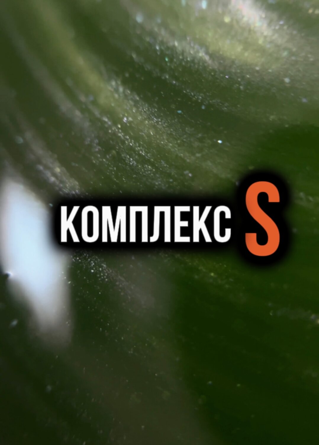 зеленое растение