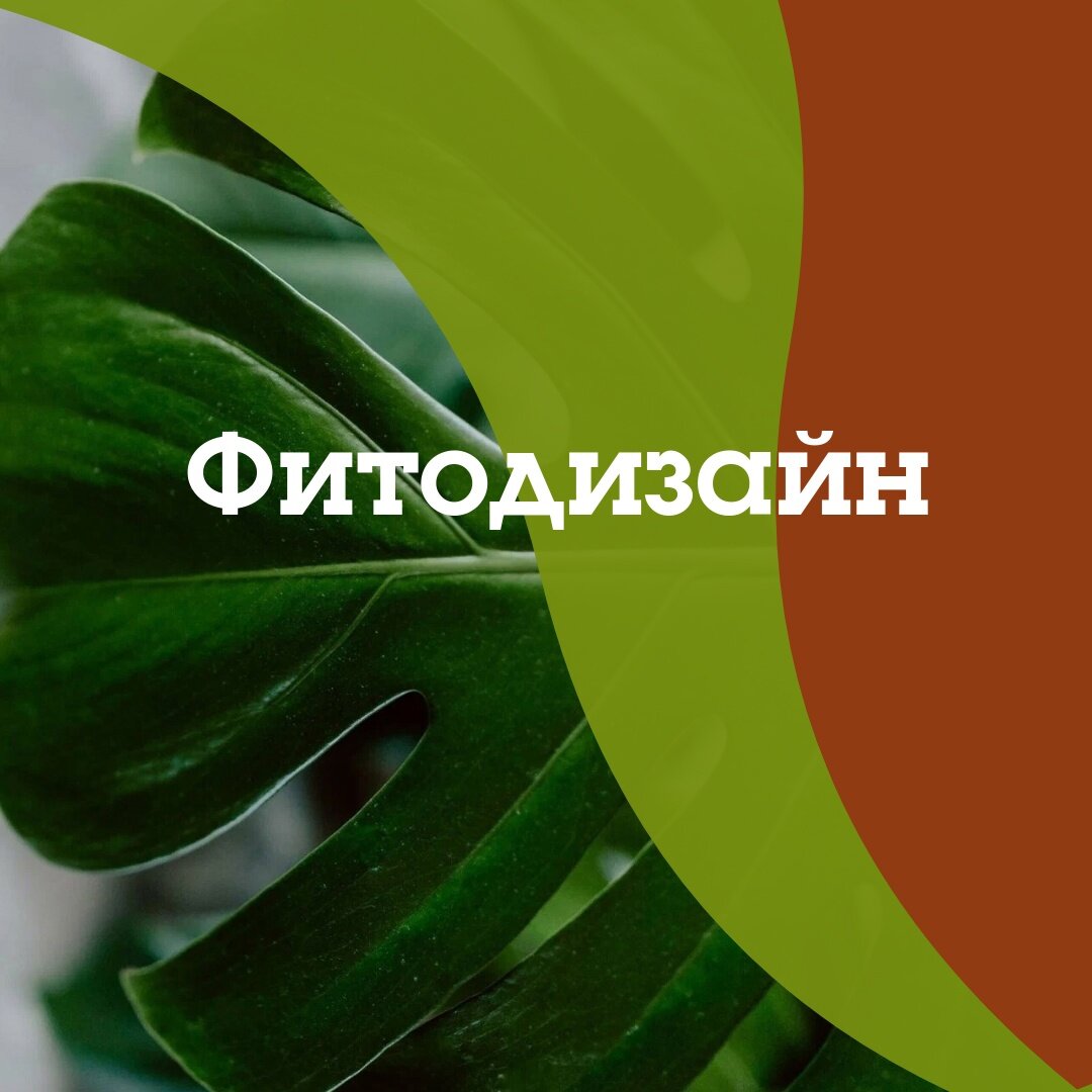 фитодизайн, фитодизайн интерьера, фитодизайн книги, фито дизайн, фитодизайнер