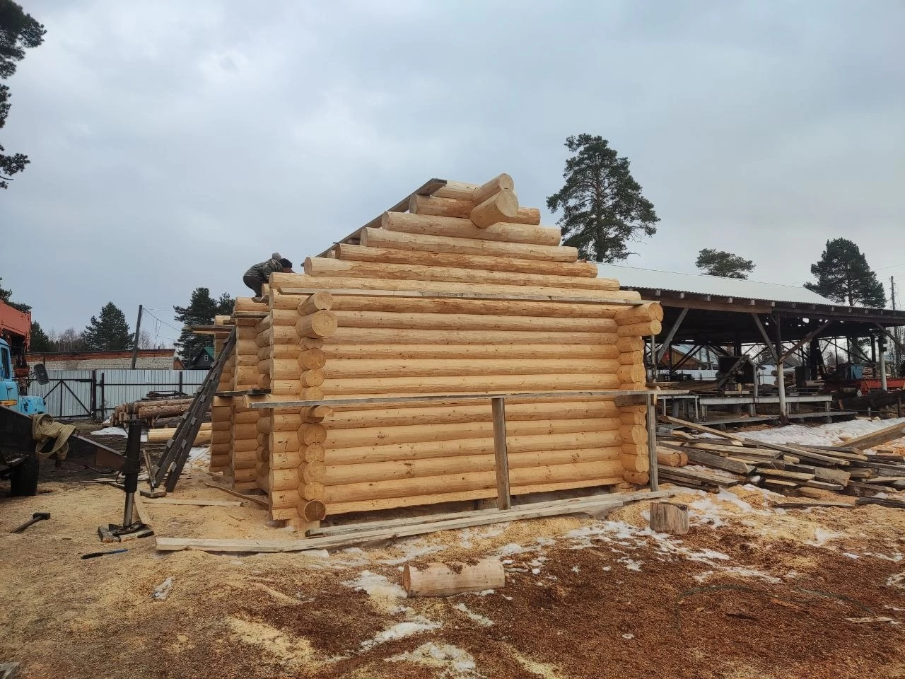 сруб из бревна, сруб бани, сруб пятистенок 6х8, сруб дом, сруб дома