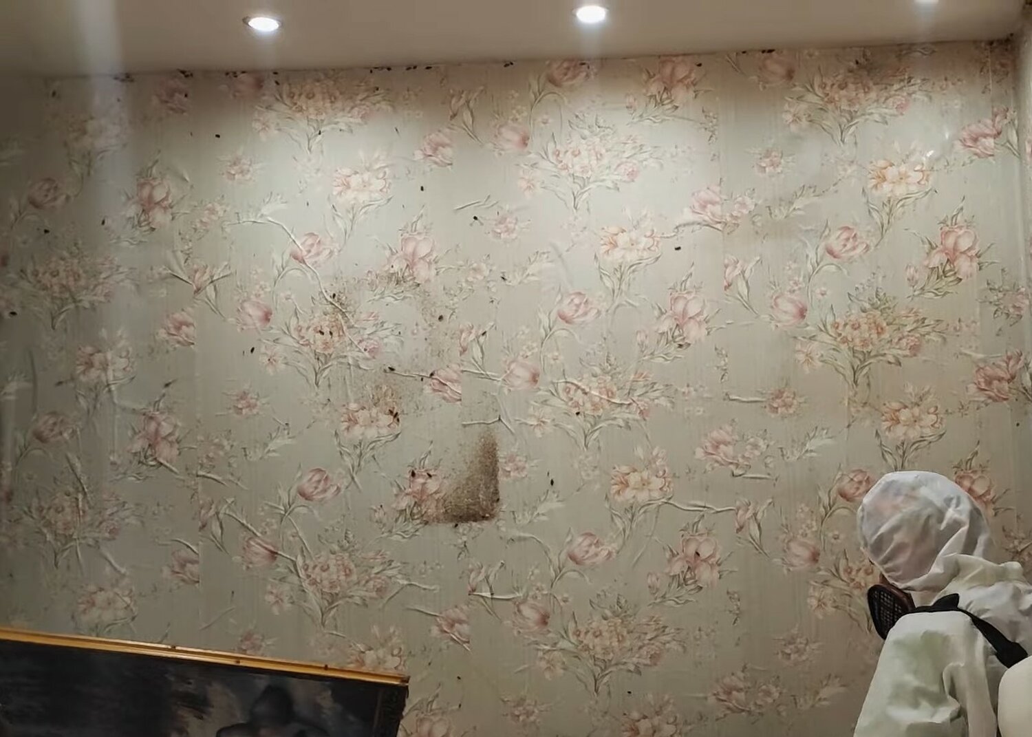 оклейка обоями, оклейка стен обоями, на стенах, покрытие для стен, декор стен