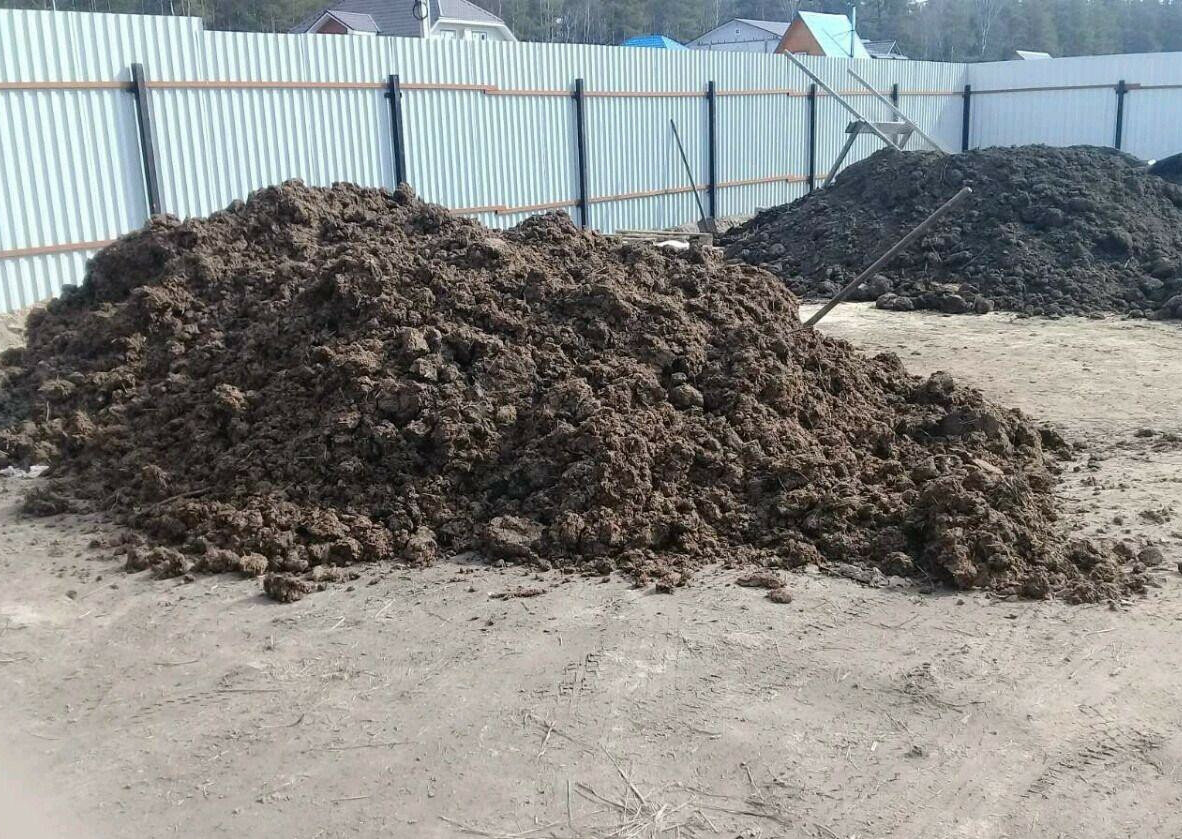 Доставка навоза коровьего и конского в область