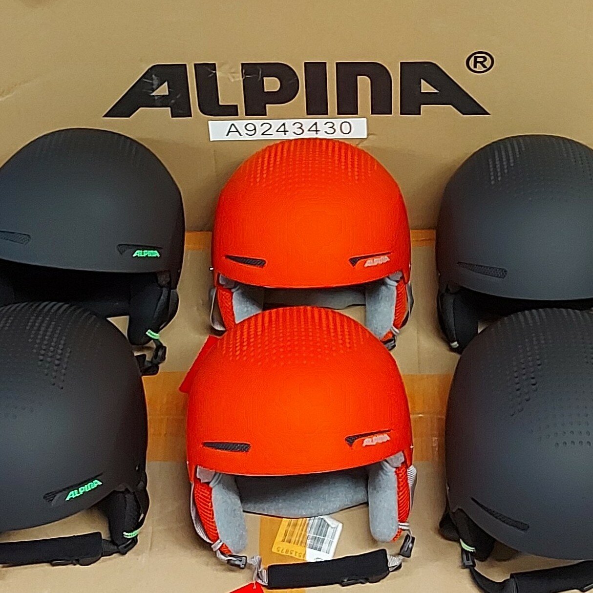 шлем alpina zupo, шлем alpina, шлем защитный alpina, шлем горнолыжный alpina, горнолыжный шлем alpina zupo