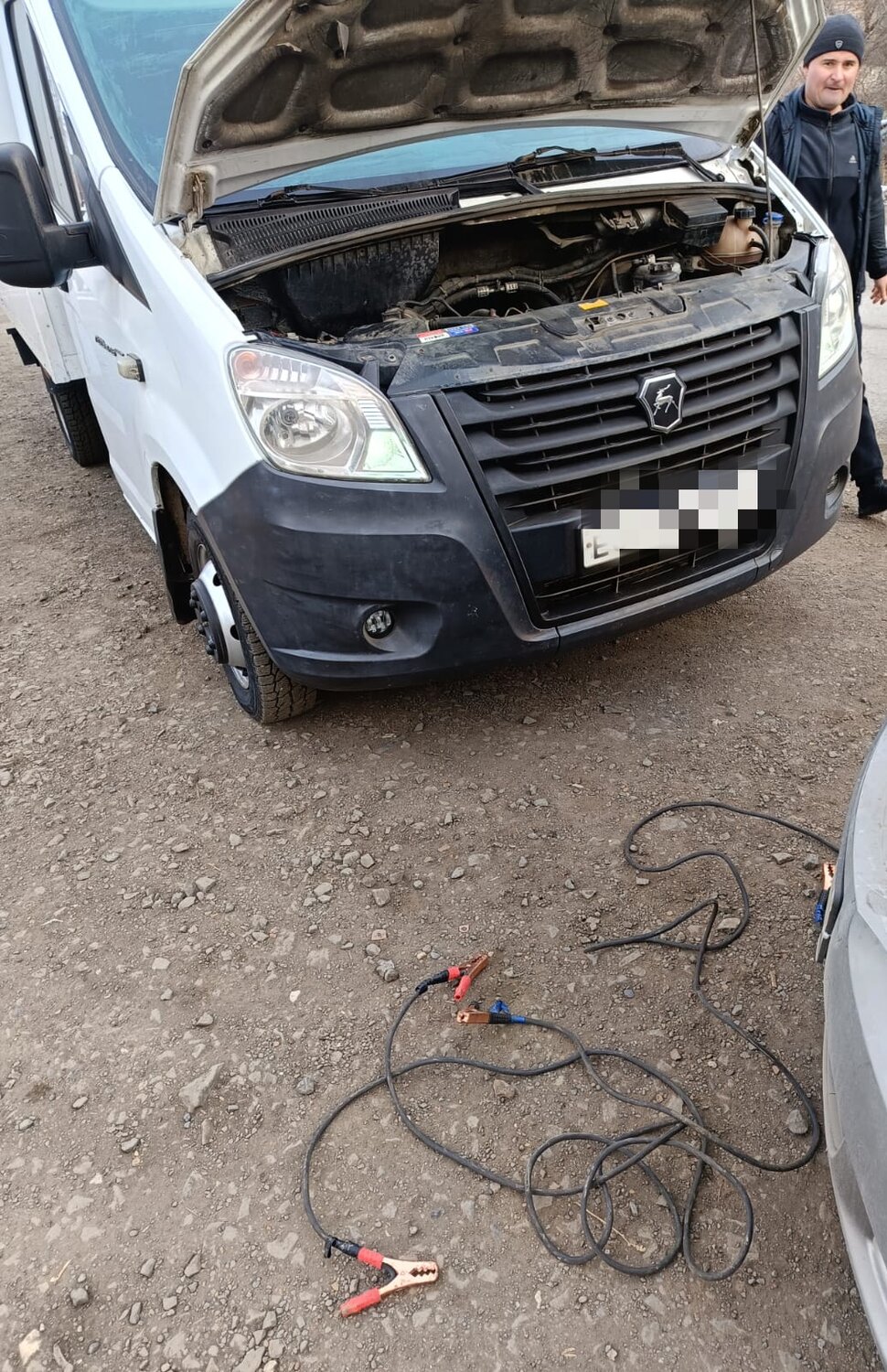 газ газель next, газель с, газель газ, на газель некст, gaz gazelle next