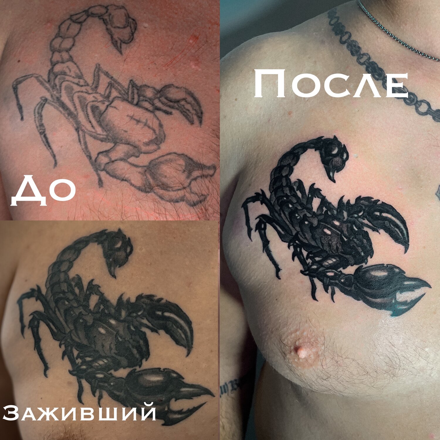 тату скорпион, исправление татуировок, скорпион на лопатке тату, тату скорпион перекрытие, тату до и после заживления