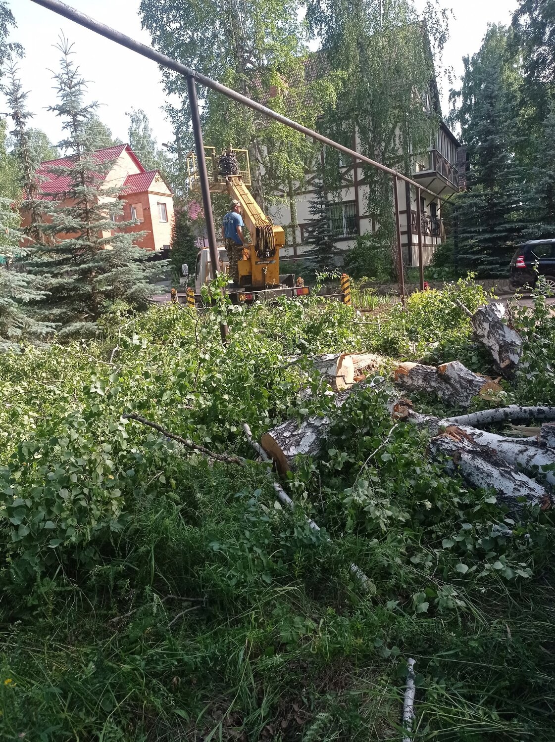 последствия урагана, упавшее дерево, поваленное дерево, дерева, расчистка участка