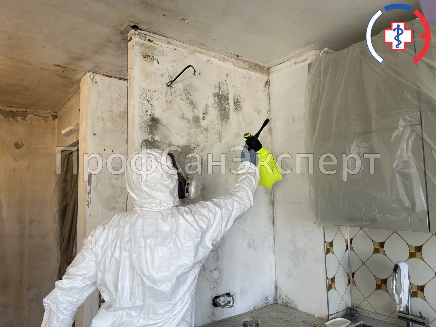 дезинфекция дезинсекция дератизация, дезинфекция помещений, дезинфекция от клопов в квартире, обработка от плесени, дезинфекции