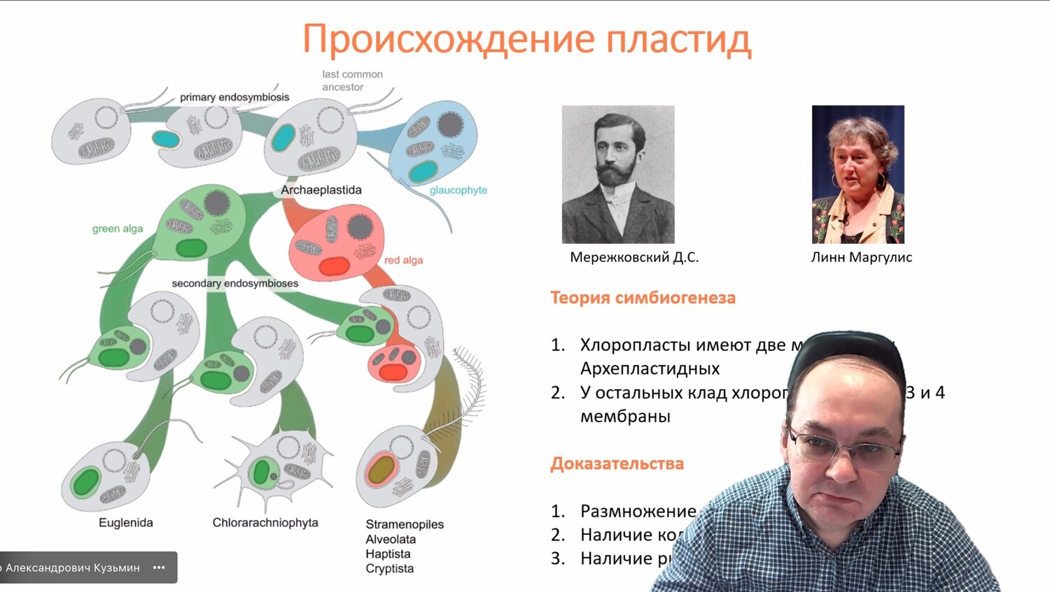 маргулис теория симбиогенеза, теория симбиогенеза егэ биология, взаимопревращение пластид, теория эндосимбиогенеза, теория эндосимбиоза
