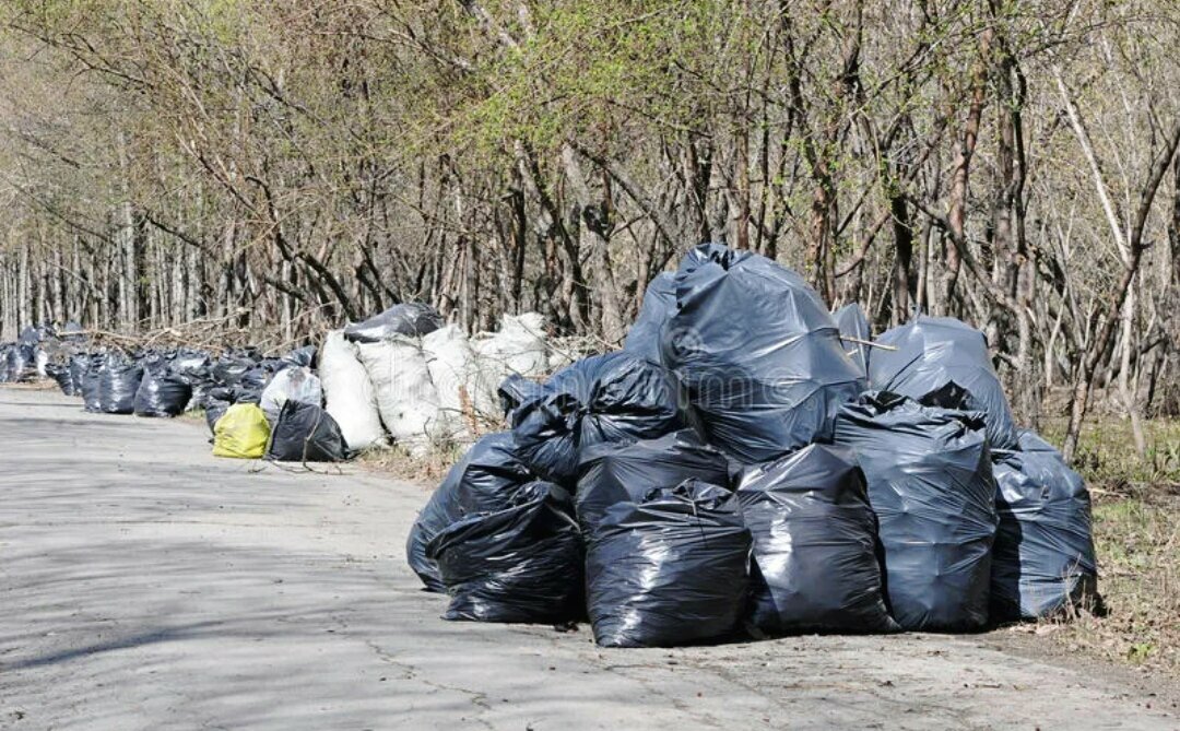 мусор в мешках, мусорные пакеты, мусор, мешки с мусором в лесу, мусорные мешки