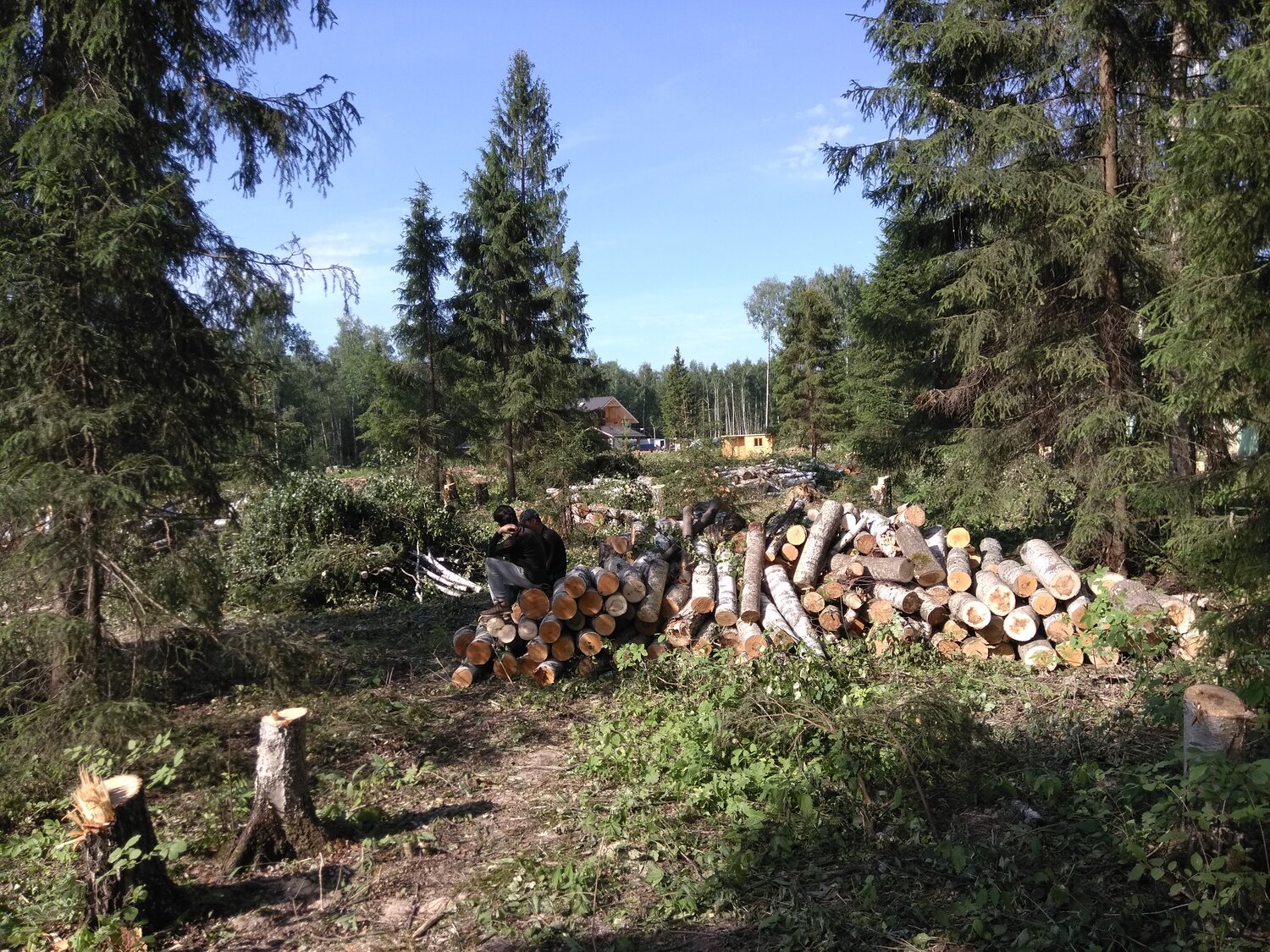 Распиловка ствола: Вдоль, Поперек, На блины