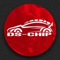 DS-CHIP