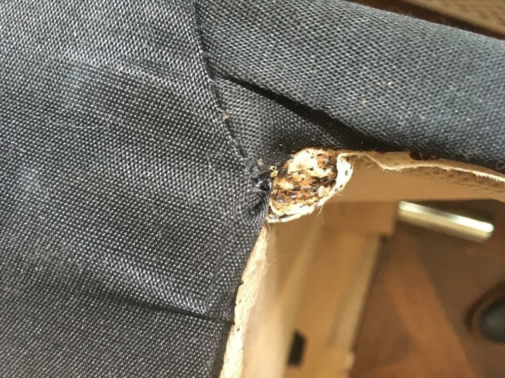 лайфхак если расстегивается молния на штанах, одежда, джинсы, куртка, починить замок молнию