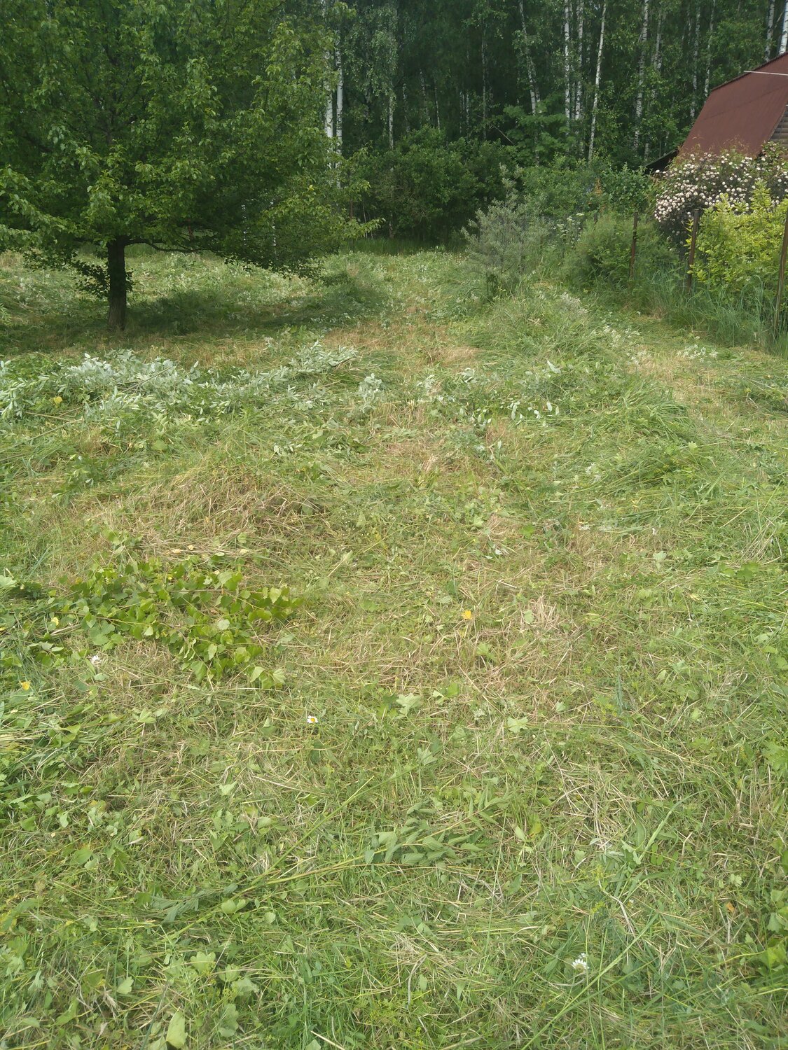 земельный участок, участок, в деревне, зем участок, земляной участок