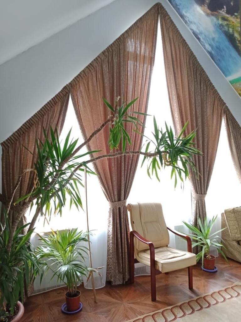 комнатные растения, ритас шри ланка, зимний сад с финиковой пальмы, зимний сад в частном доме, растение