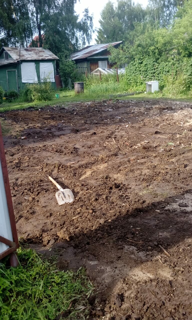 участок, земельный участок, дренаж заболоченного участка, дача, грунт на подсыпку