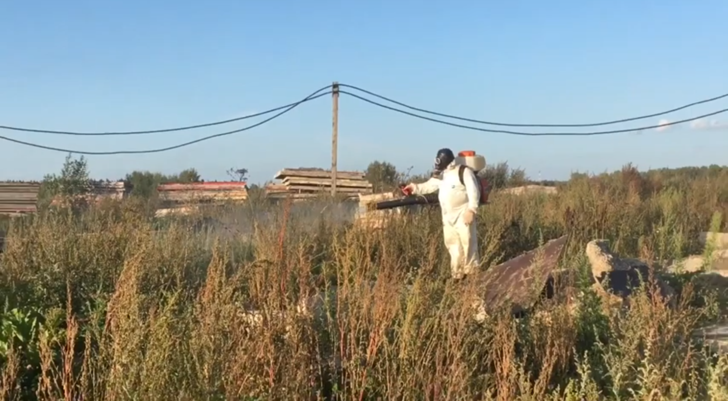 земельный участок, участок, в селе, деревня большое рейзино гатчинский, деревни
