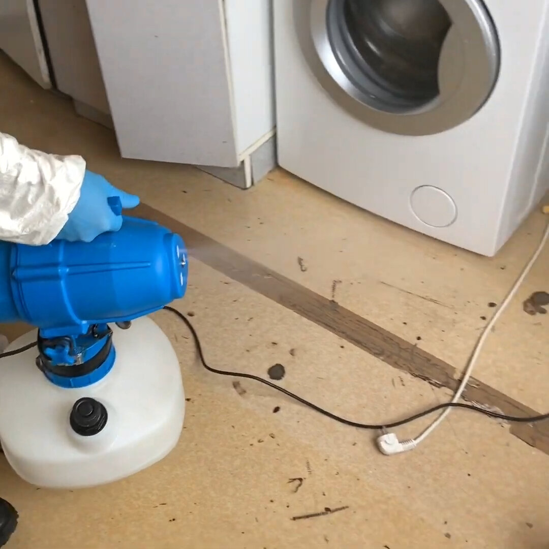 дезинсекция, дезинфекция, дезинфекция от клопов, уничтожение тараканов, дезинфекция клопов