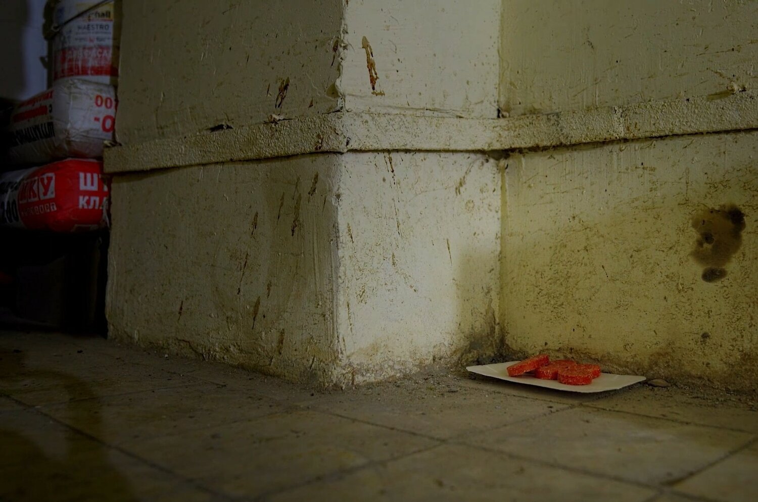 ужасы, жанр ужасы, ужасы фэнтези, человек, сломанный холодильник