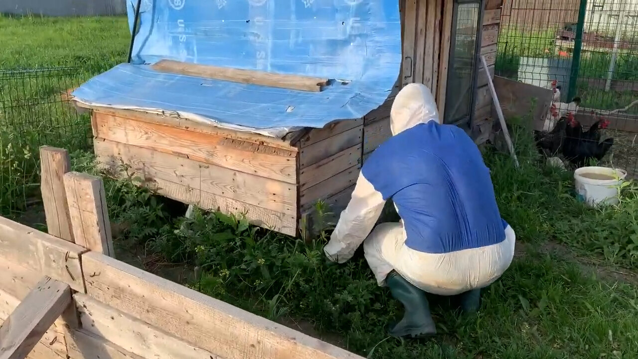 улей для пчел, пчелы в улье, улей, пчеловод, пчеловодство
