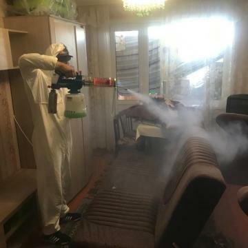 дезинсекция, комната, дезинсекция сухим туманом, дезинсекция клопов туманом, дезинфекция помещений горячим туманом