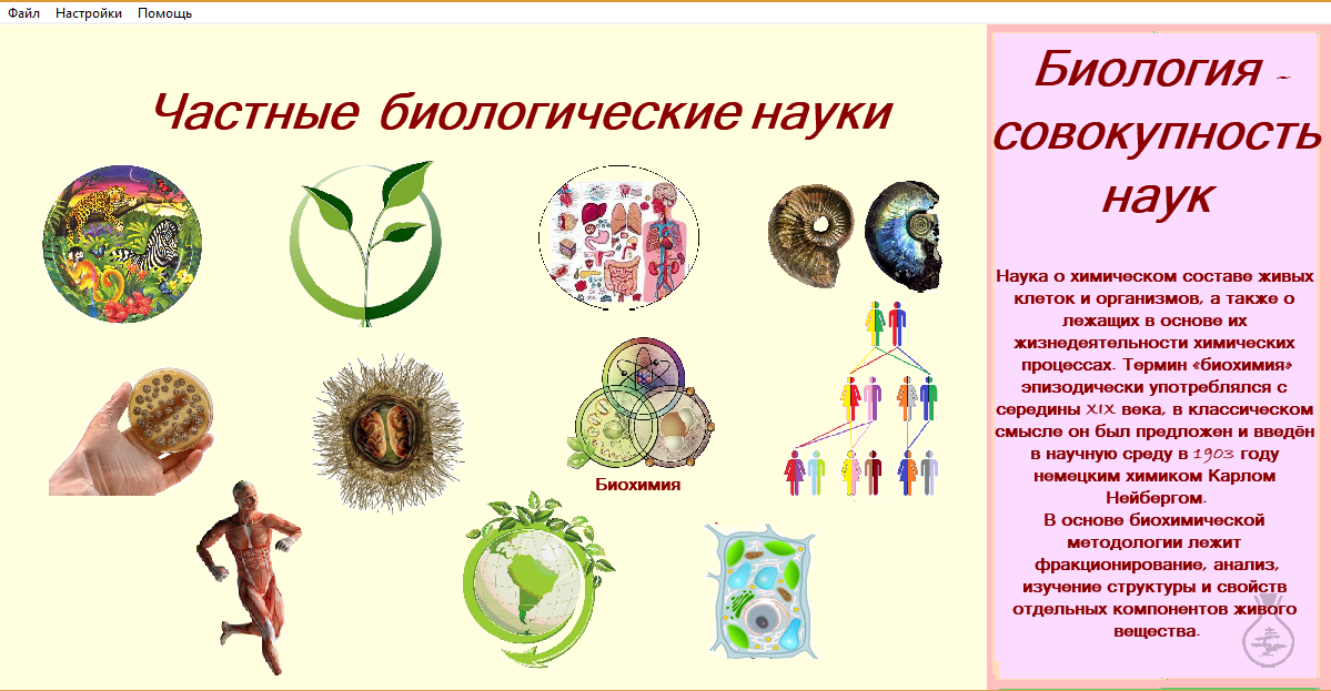 презентация, биологические науки, дискретность живых организмов, биология, биологическая составляющая человека
