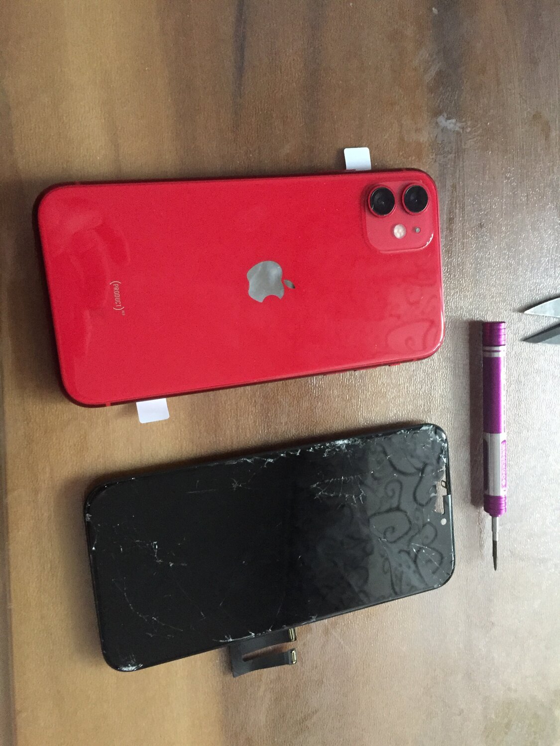 iphone 11 red 64gb, iphone 11 64 red обзор, мобильный телефон, iphone, айфон 11 обзор