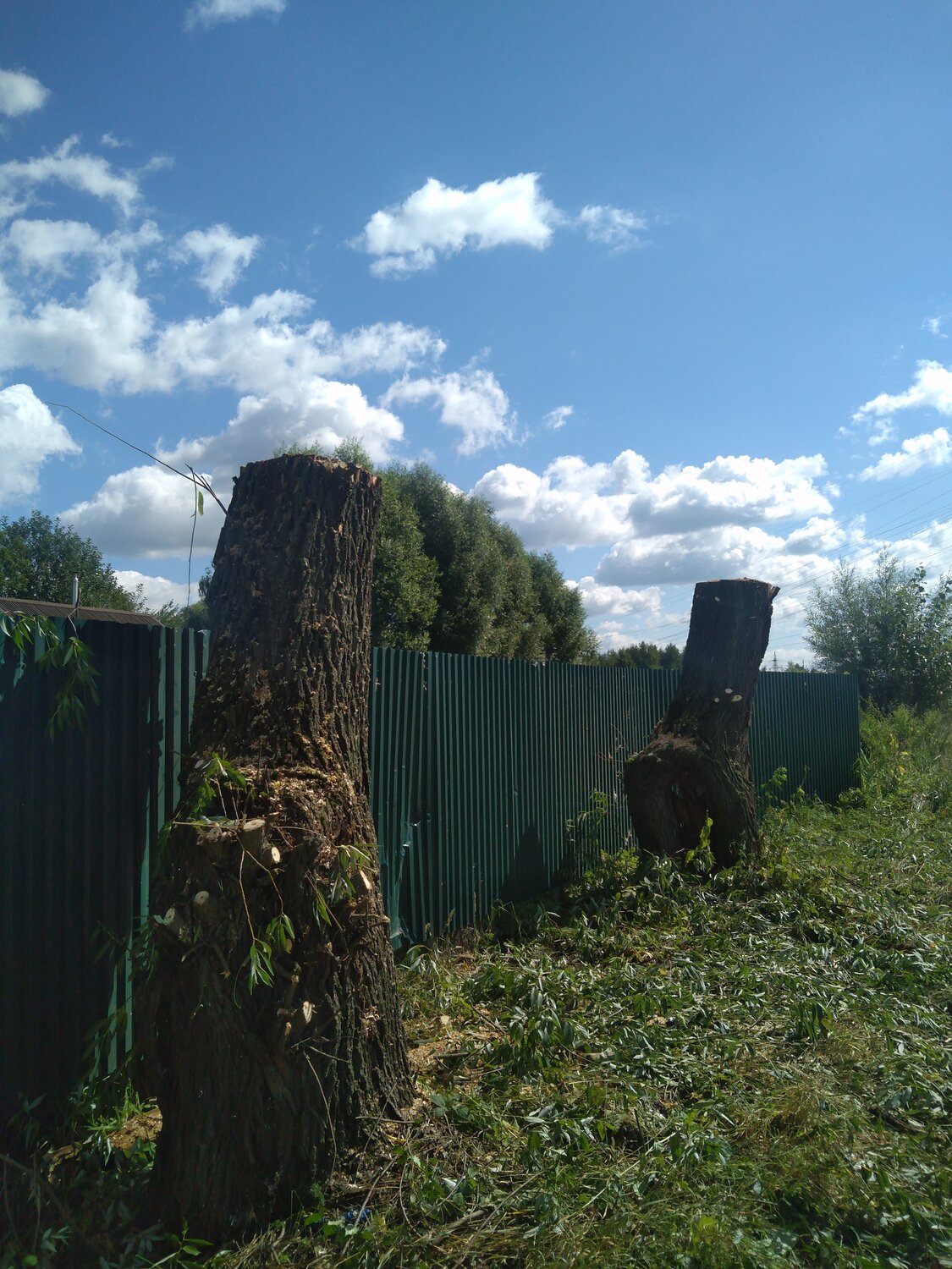 деревни, участок, дача, заборы в сибирской деревне, сельский