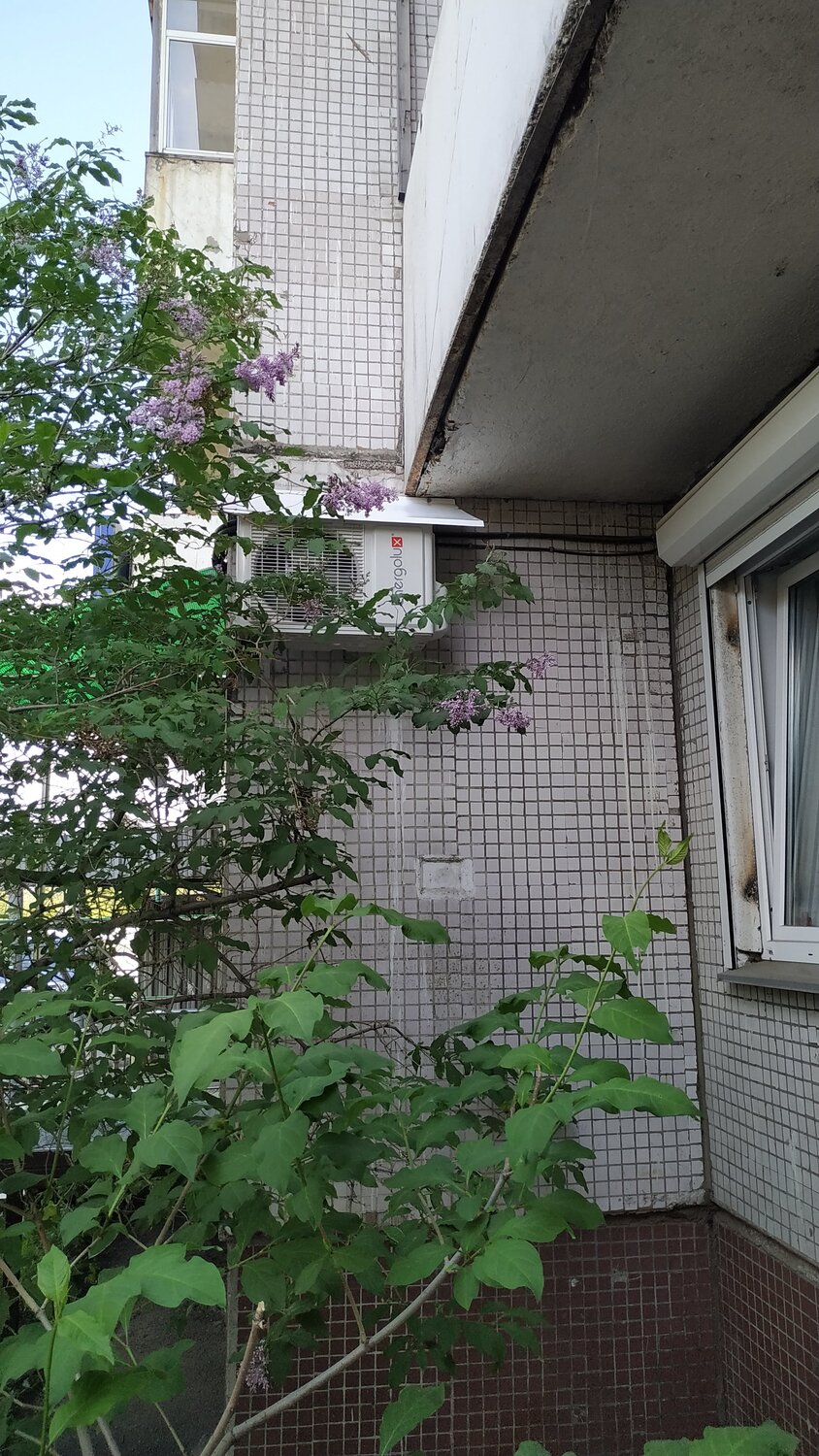 недвижимость, дом, дача, участок, дачная
