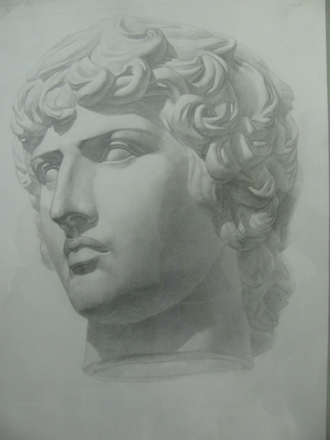 антиной гипсовая голова, антиной гипсовая голова построение, антиной, античная голова антиноя, антиной гипсовая голова мархи