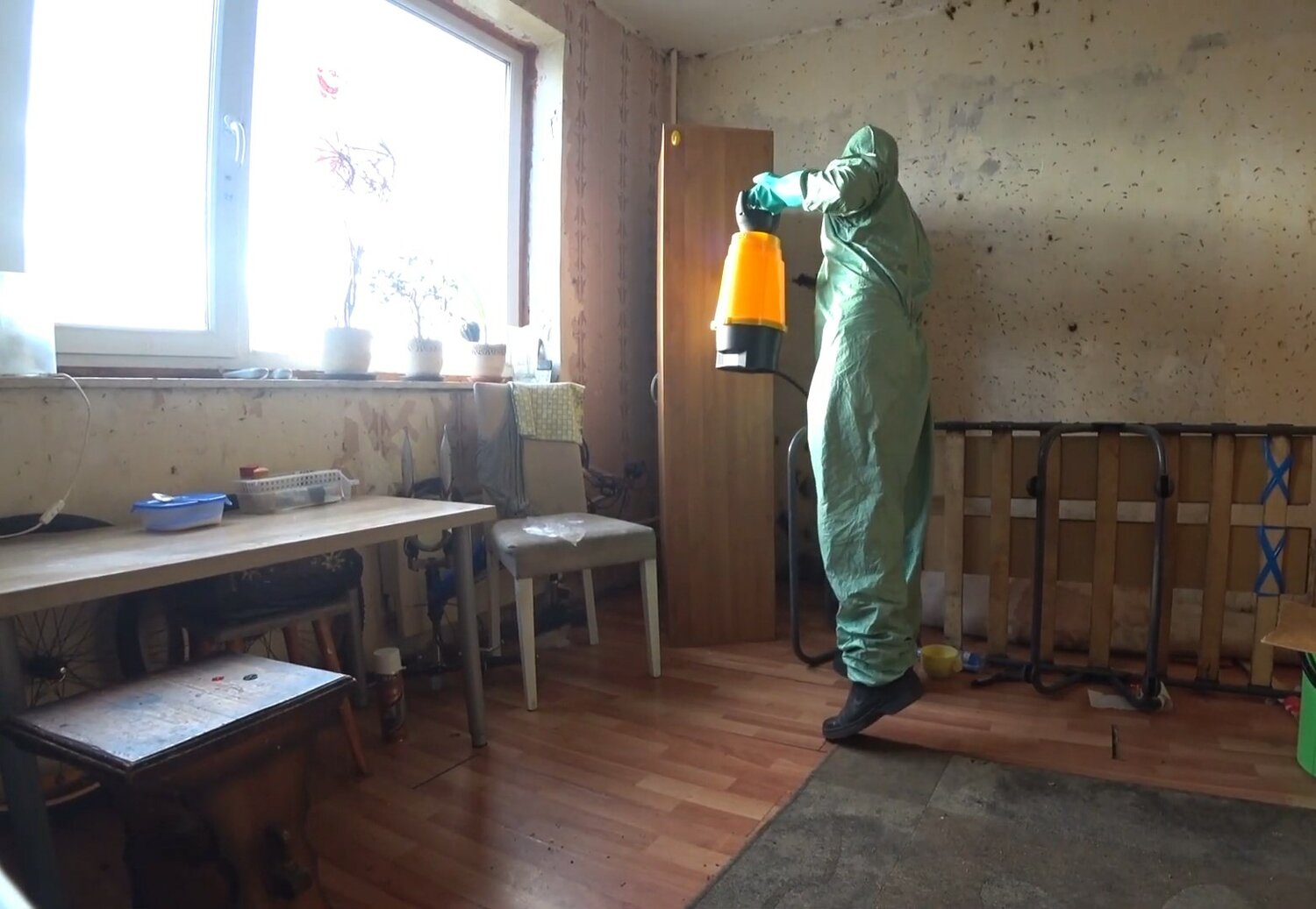 дезинсекция, дезинфекция, дезинфекция дезинсекция дератизация, дезинфекция помещений, дезинсекция клопов
