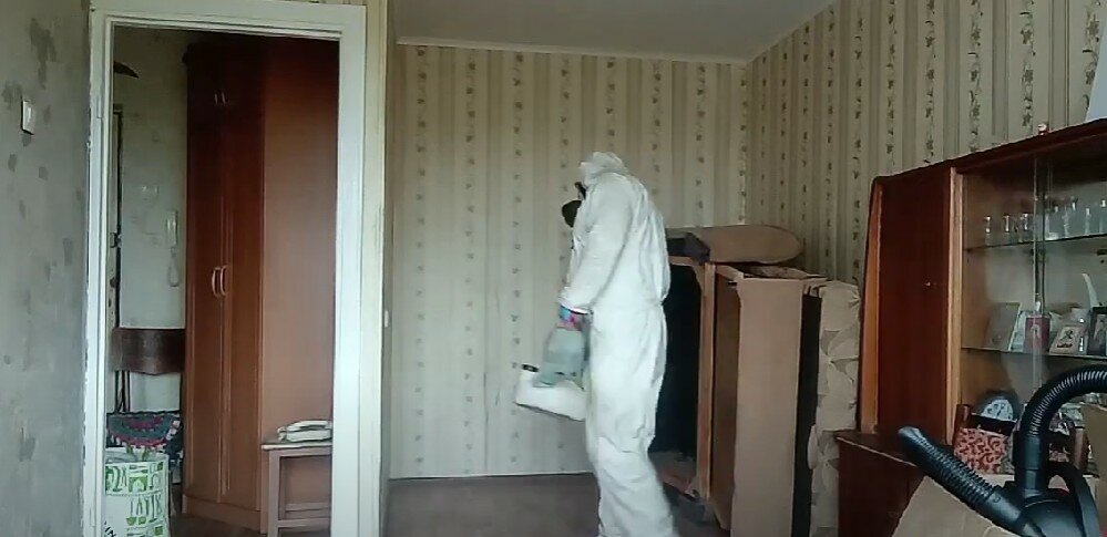 уничтожение клопов, дезинсекция, дезинфекция от клопов в квартире, обработка от клопов, дезинфекция от клопов