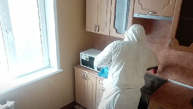 дезинсекция, дезинфекция, дезинфекция от клопов, дезинфекция от клопов ижевск, дезинфекция от клопов в квартире