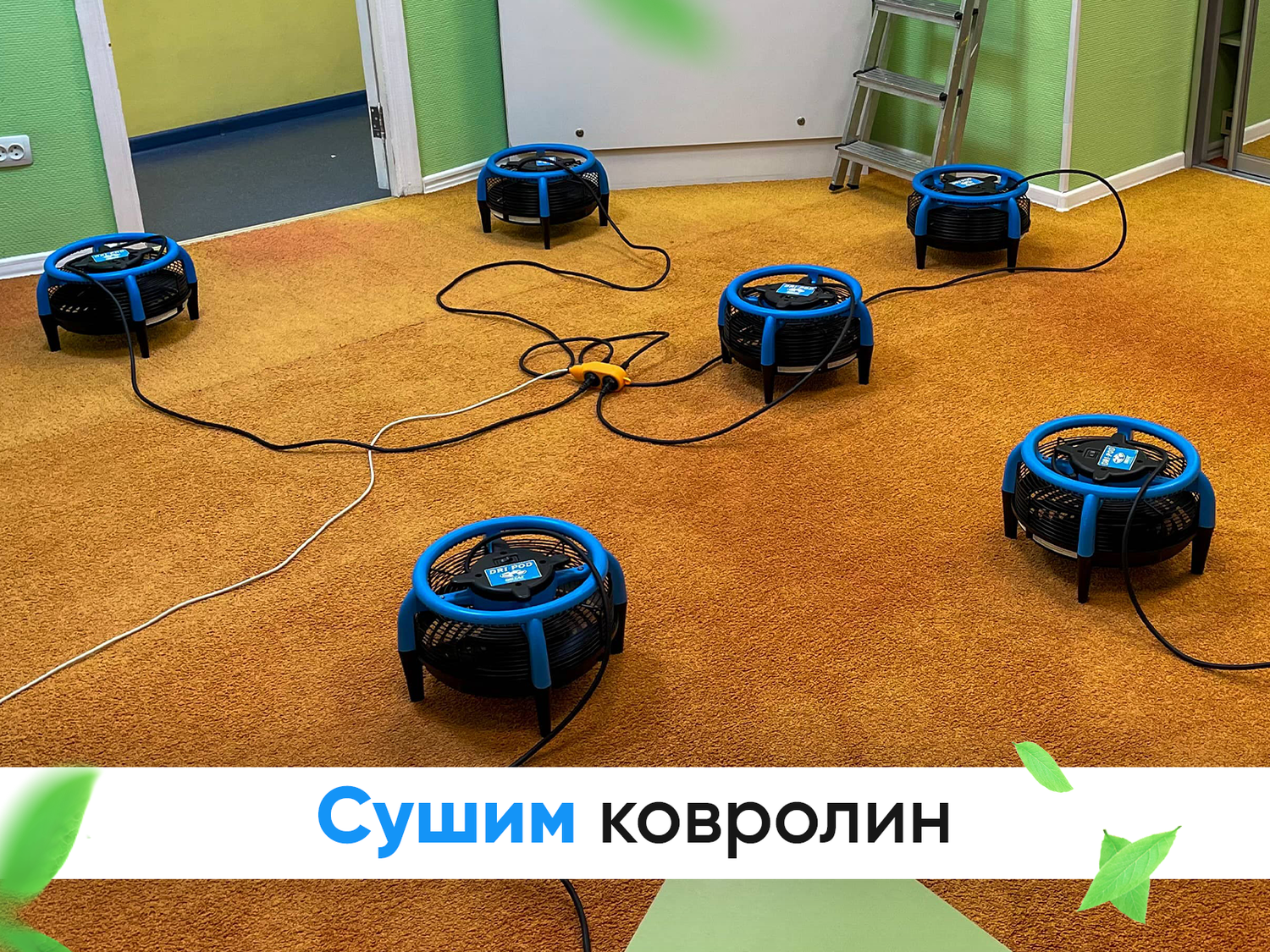 клининговые услуги, химчистка ковра, химчистка матраса, робот пылесос для дома, моющий робот пылесос