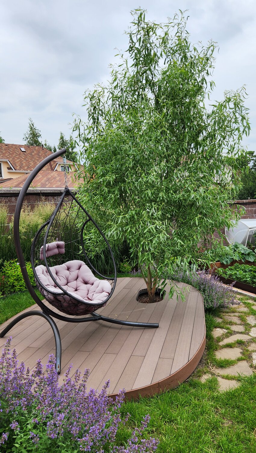 ива извилистая свердловская, ландшафтного дизайна, подвесное кресло кокон, зона отдыха в саду, стили в ландшафтном дизайне