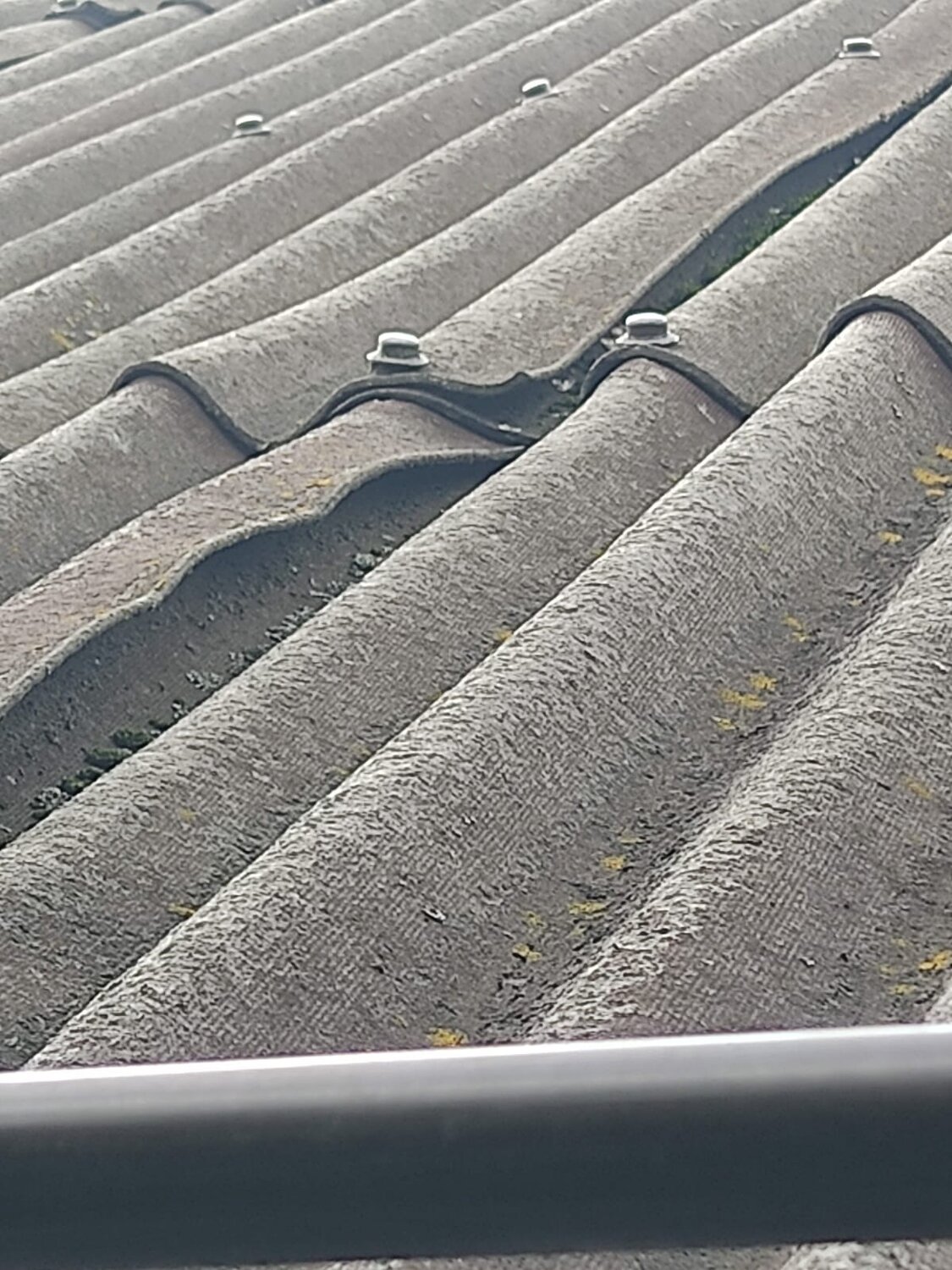 ���������� ���� ����������, ������������ ���� ������������, ���������������� ������������, ������������ ����������, ���������������� ����������