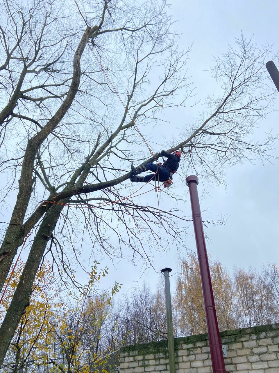 �������������� ������������, ������������������������ ����������������, ������������ ��������, �������������������� ����������������, ���������� ����������������