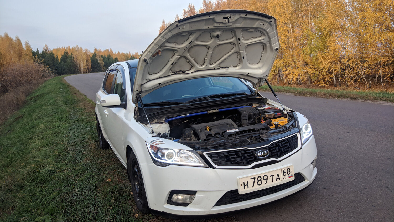 капот kia ceed, kia ceed 1, упоры капота киа сид, киа сид 2010, киа сид 2008