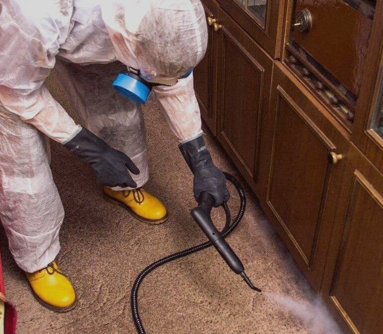 дезинфекция дезинсекция дератизация, уничтожение клопов, дезинфекция от клопов, дезинфектор клопов, обработка от клопов