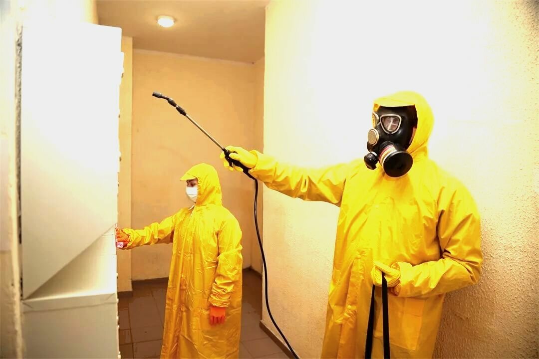 дезинфекция дезинсекция дератизация, дезинфекция великий новгород, дезинфекция помещений, обработка от клопов, уничтожение клопов