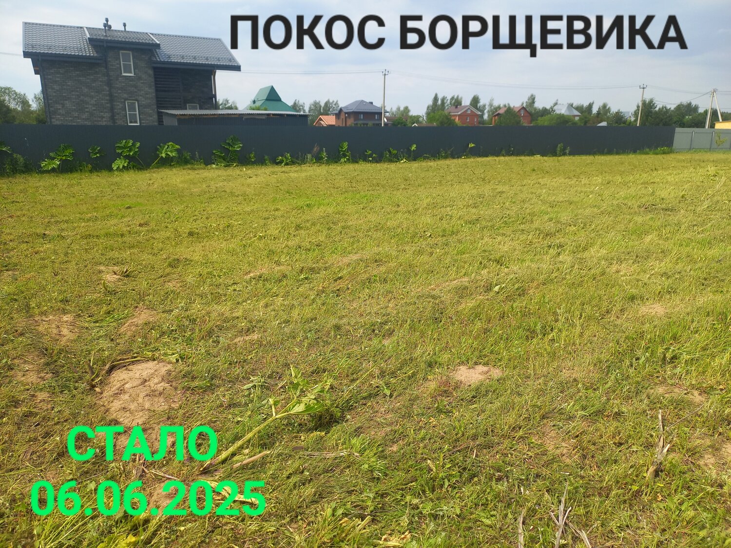 земельного участка, дачные участки, продается земельный участок, участок в деревне, 10 соток участок