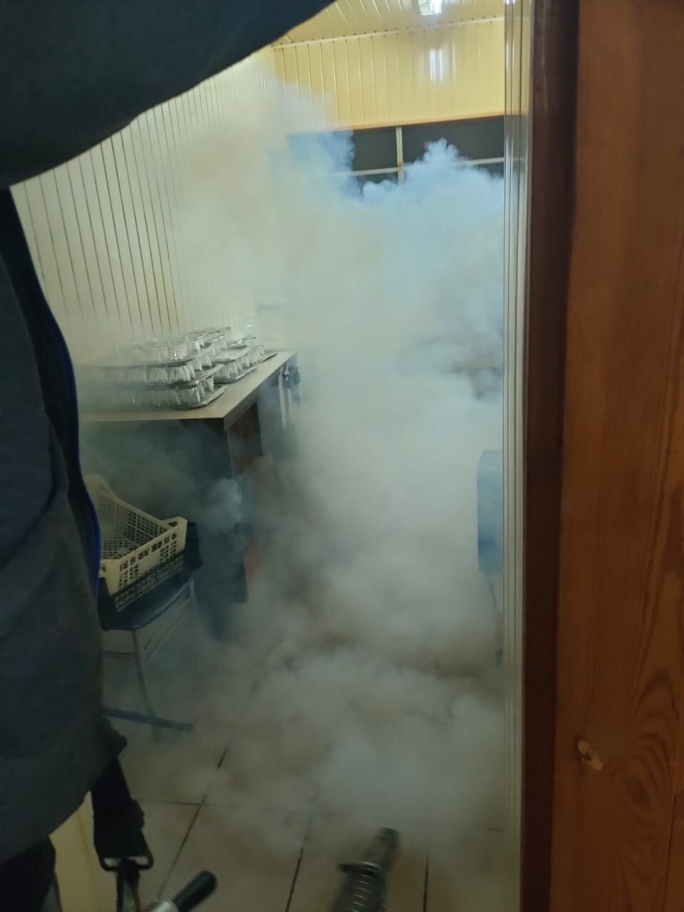 холодный туман от клопов, холодный туман от тараканов, холодный туман, аэрозольная дезинфекция, дезинфекция помещений