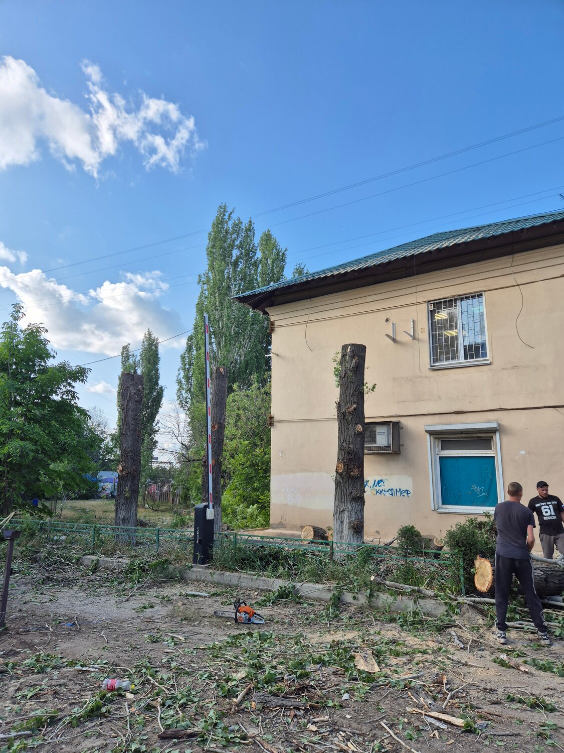 дерево, дом в, двор, аварийное дерево, на улицы