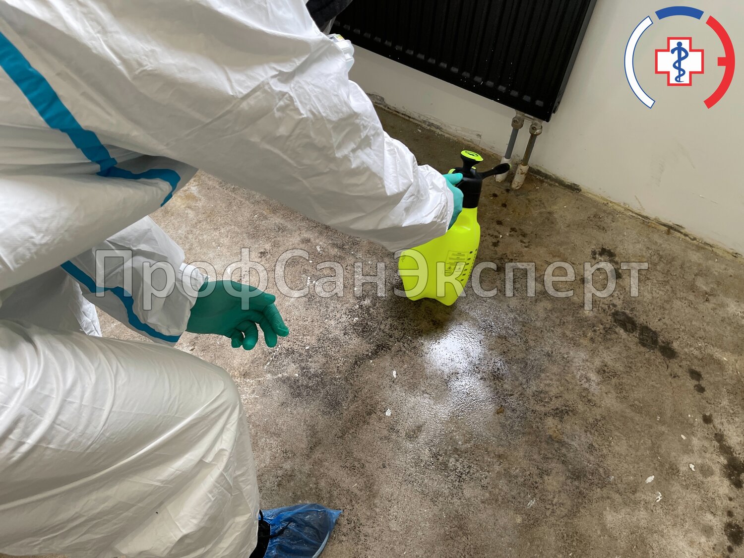 дезинфекция дезинсекция дератизация, дезинфекция помещений, дезинсекция, уничтожение клопов, дезинфекции
