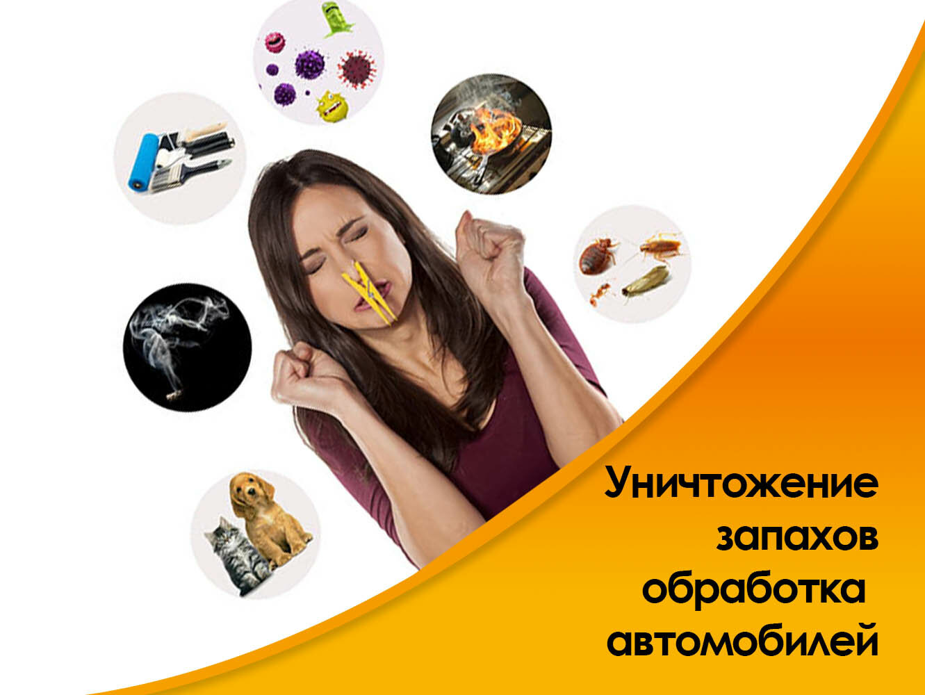 неприятные запахи, запах запах, для уничтожения запахов, самые неприятные запахи для человека, клоп таракан
