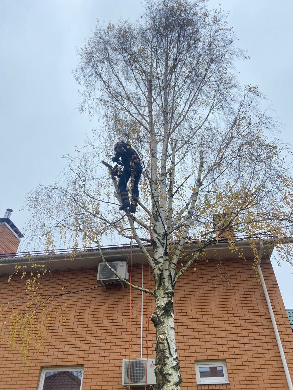 ������������������������ ����������������, �������������� ������������, �������������������� ����������������, ���������������� ����������������, ���������� ����������������