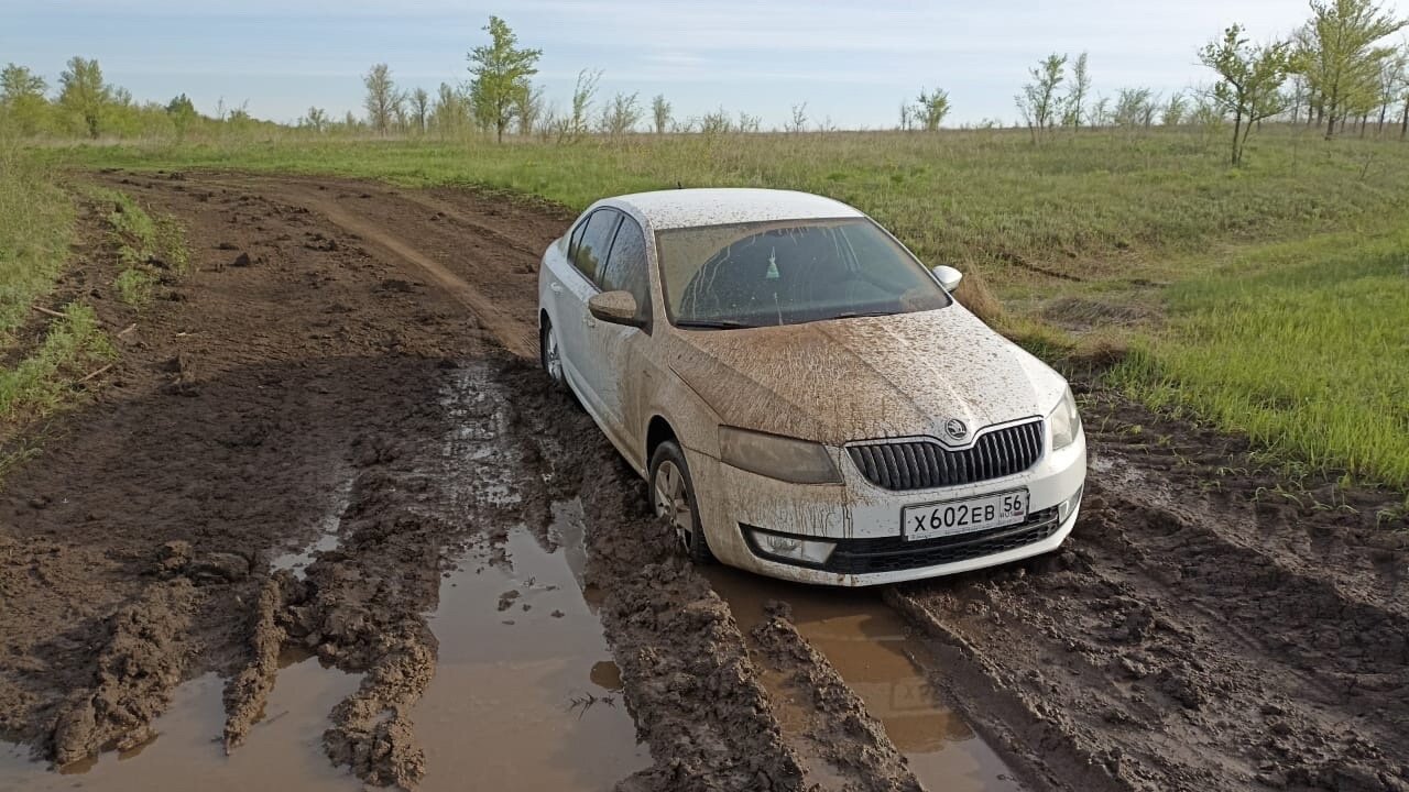 skoda octavia a 5, skoda octavia a 7, skoda octavia 2017, skoda octavia a7 revo, шкода октавия 7