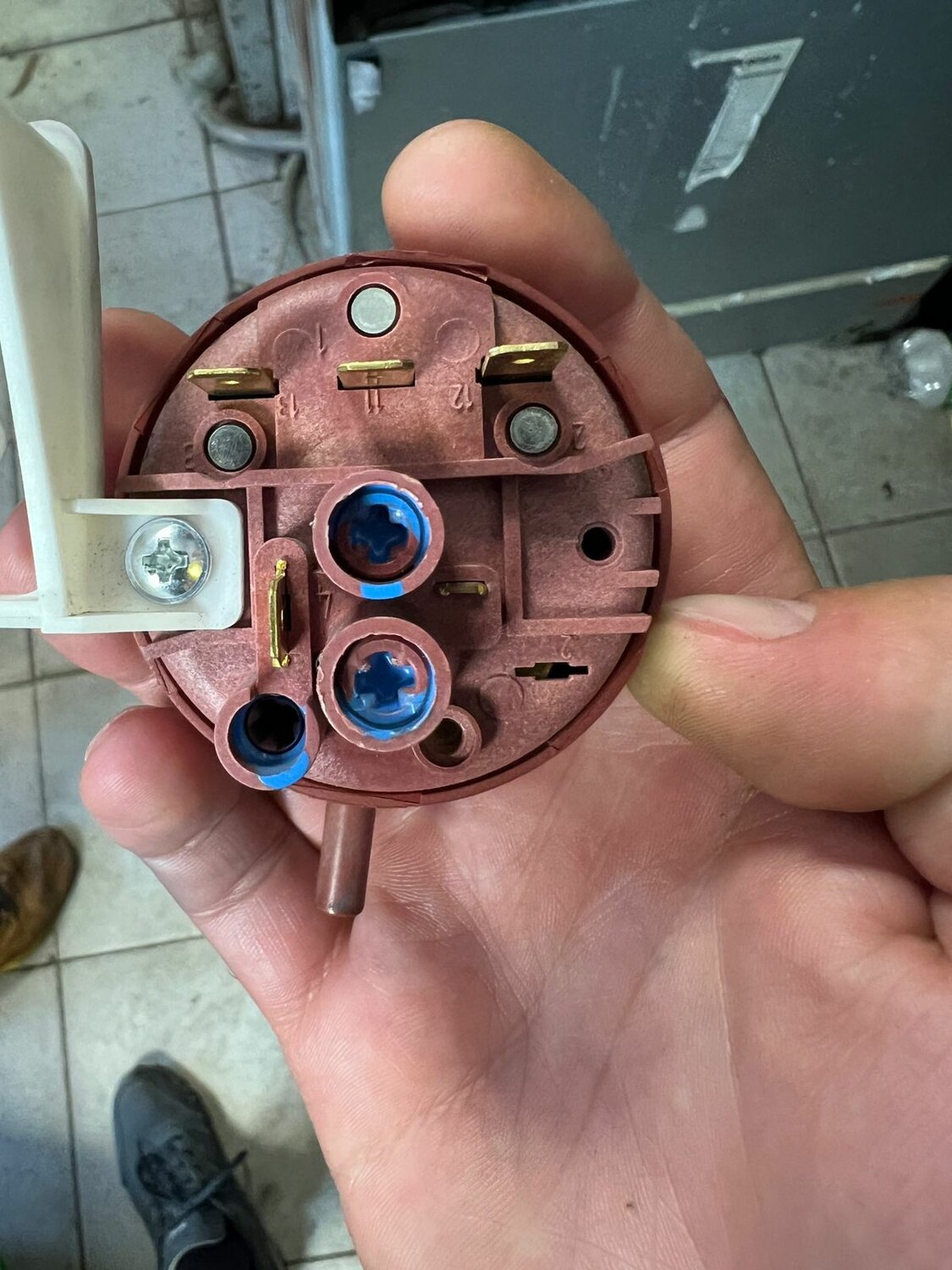 прессостат для посудомоечной машины electrolux, датчик уровня воды прессостат для стиральной, прессостат посудомоечной машины, датчик уровня воды прессостат стиральной машины, прессостат для стиральной машины indesit ariston